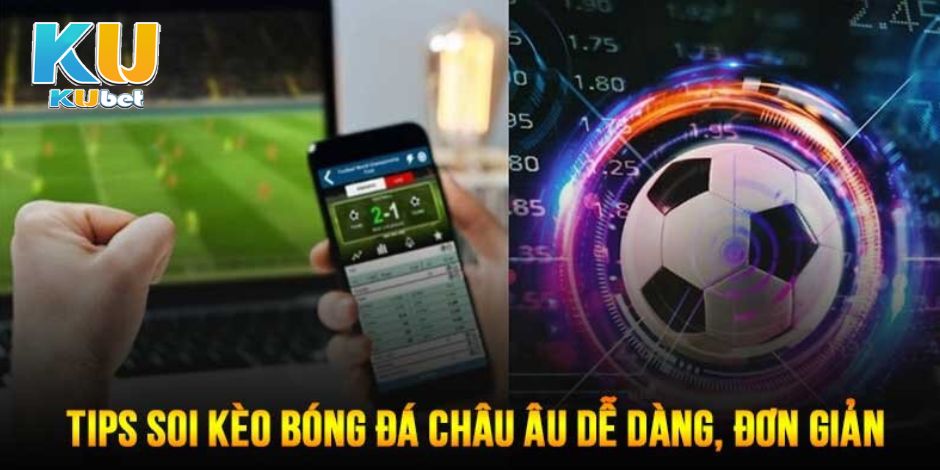 Hướng dẫn tân thủ tham gia cá cược tại Kubet777