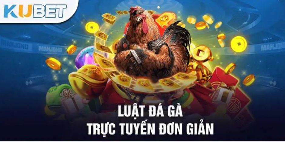 Các chiến kê hùng mạnh nhất được tuyển chọn để tham gia thi đấu 